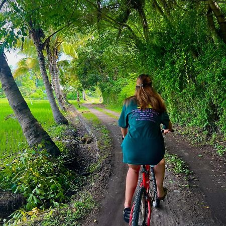 Rinjani Beach Eco Resort Tanjung  Eksteriør billede