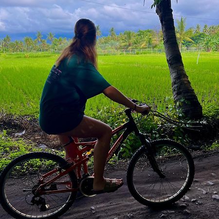 Rinjani Beach Eco Resort Tanjung  Eksteriør billede
