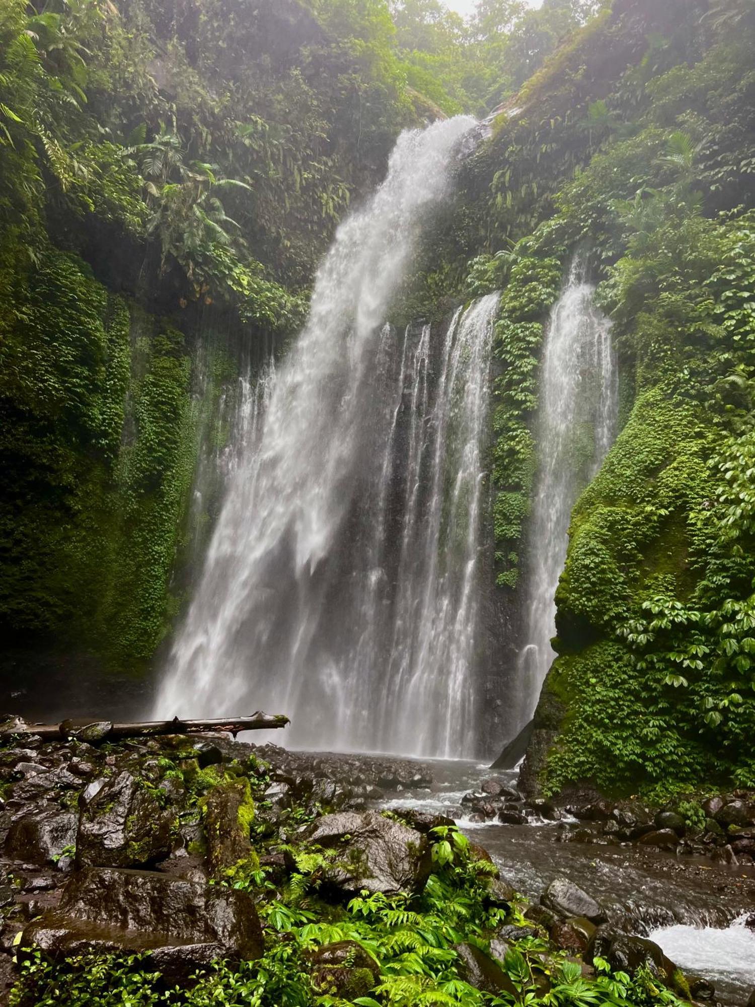 Rinjani Beach Eco Resort Tanjung  Eksteriør billede
