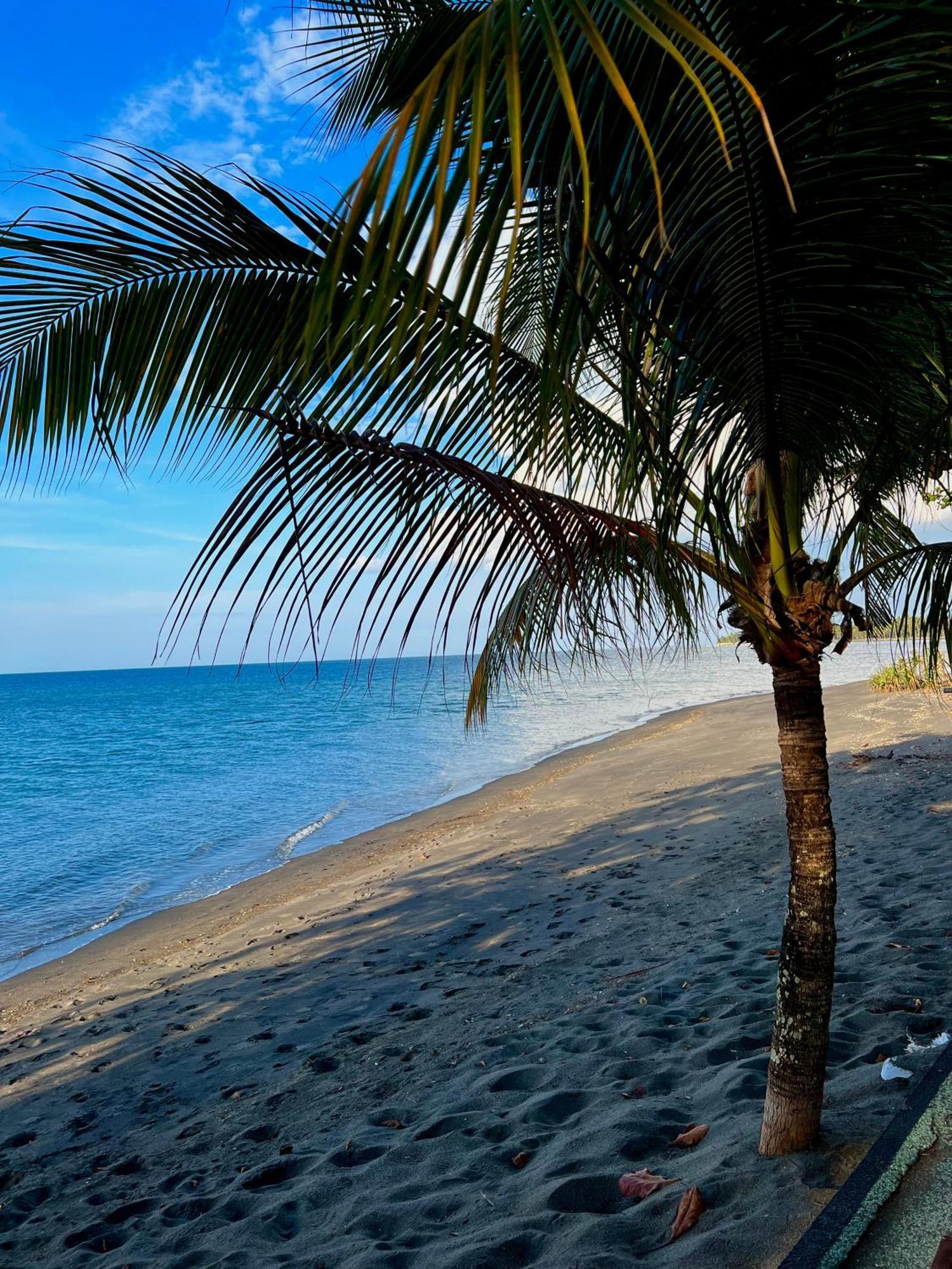 Rinjani Beach Eco Resort Tanjung  Eksteriør billede